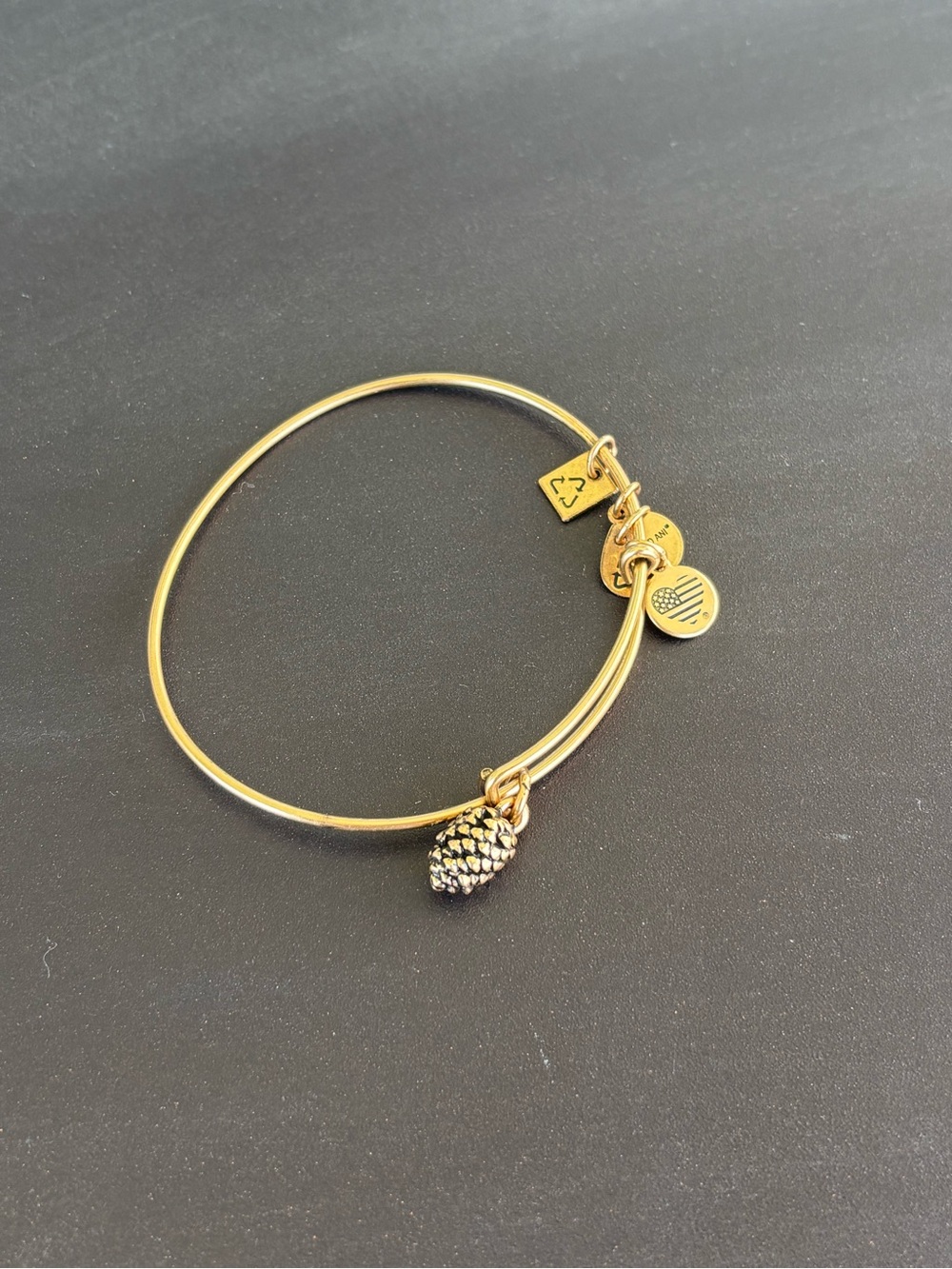 Brass Pinecone Charm Expandable Bangle Bracelet by